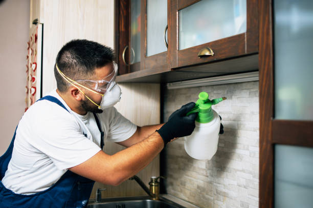 Wasp Removal Services in Vienna, WV