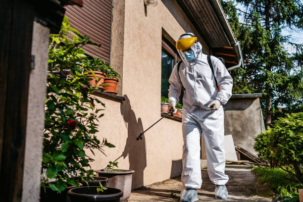 Best Termite Control Services  in Vienna, WV