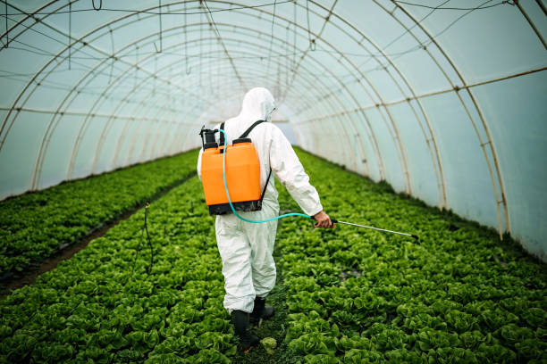 Best Best Pest Control Companies  in Vienna, WV