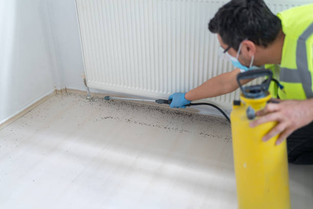 Best Best Pest Control Companies  in Vienna, WV