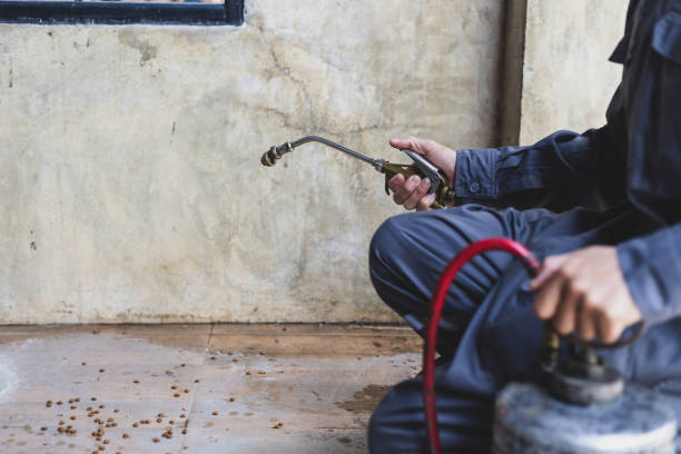 Best Mosquito Control Services  in Vienna, WV