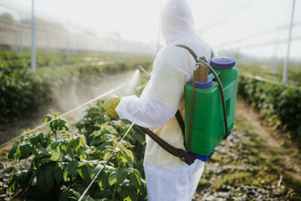 Trusted Vienna, WV Pest Control Experts